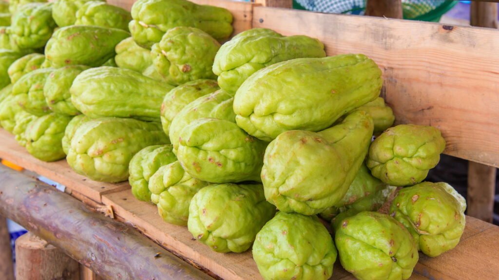 Rico em fibras e água, este legume de 20 calorias mata a fome e hidrata o corpo