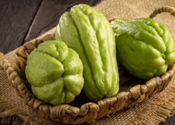 Rico em fibras e água, este legume de 20 calorias mata a fome e hidrata o corpo