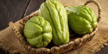 Rico em fibras e água, este legume de 20 calorias mata a fome e hidrata o corpo