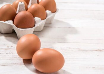 Josiane Kimak: “Se ovo não matar sua fome, não é fome. É só vontade de comer”