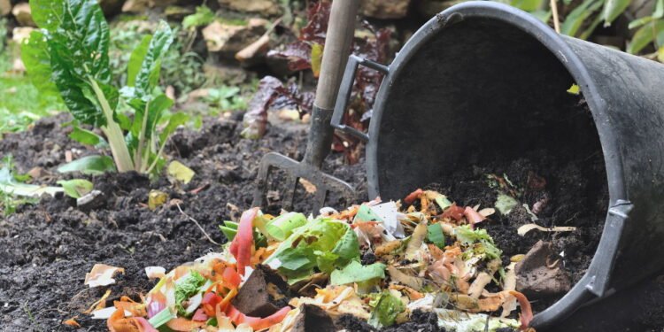 Compostagem - Créditos: depositphotos.com / sanddebeautheil