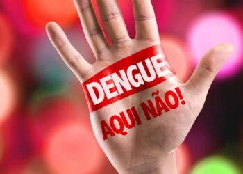 Vacina desenvolvida no Brasil pode proteger contra dengue e zika