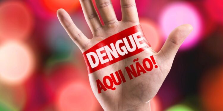 Vacina desenvolvida no Brasil pode proteger contra dengue e zika