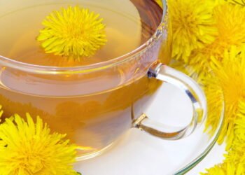 As três plantas mais poderosas para limpar o corpo de toxinas