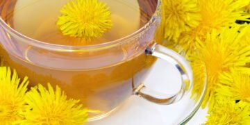 As três plantas mais poderosas para limpar o corpo de toxinas