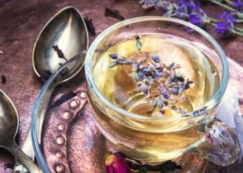 Plantas que promovem um sono