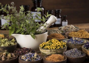 Mesmo com pouco espaço é possível ter uma horta aromática e funcional em casa