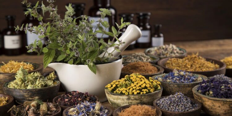 Ervas aromáticas - Créditos: depositphotos.com / JanPietruszka