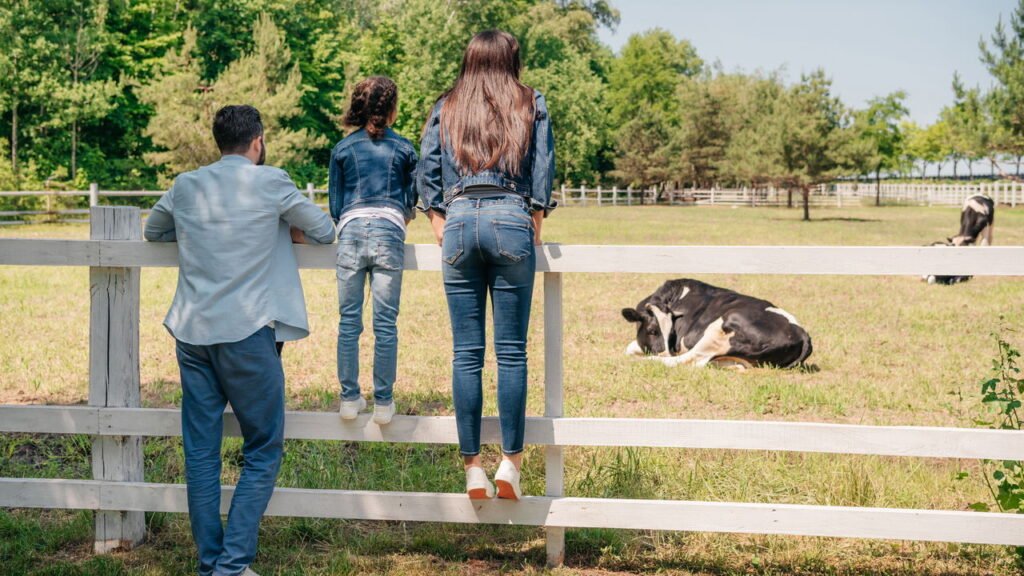 Lugares da infância