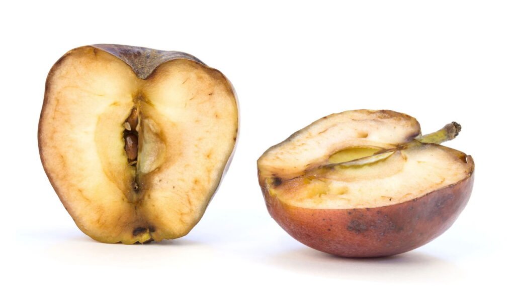 O truque secreto das avós que evita desperdício e mantém frutas perfeitas