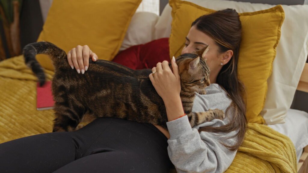 Gato amassa com as patinhas