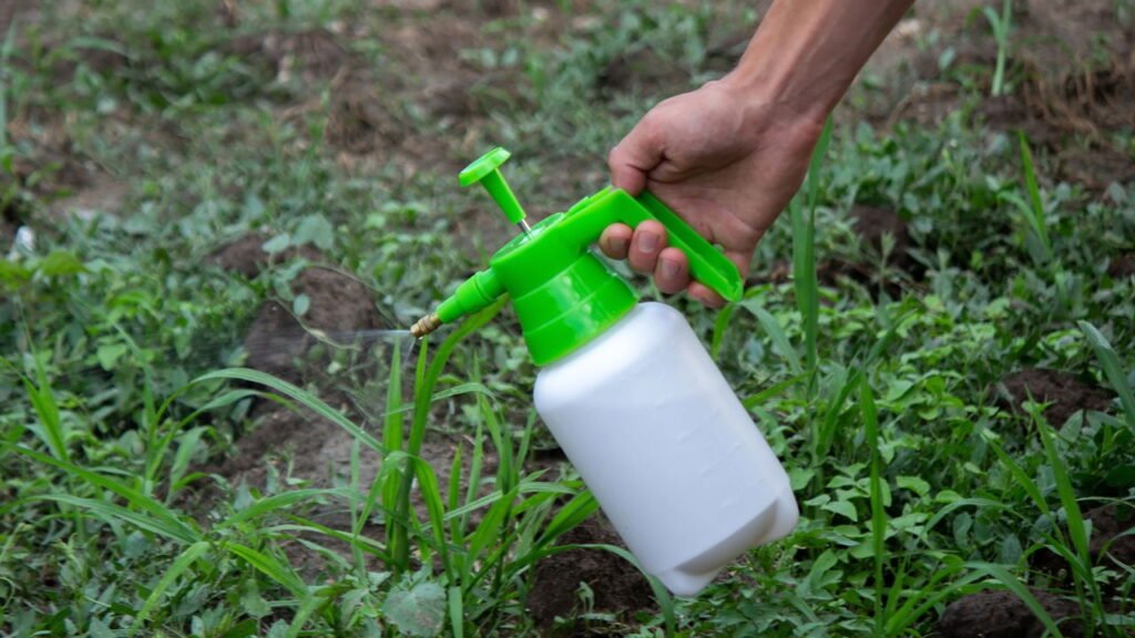 Como remover os matinhos entre as pedras da calçada com segurança e eficácia