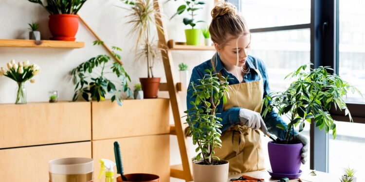 Conheça os 5 erros mais comuns que todo iniciante comete ao cuidar de plantas e como evita-los