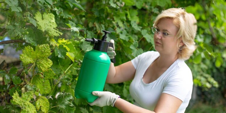 4 receitas caseiras para eliminar pragas do jardim com segurança