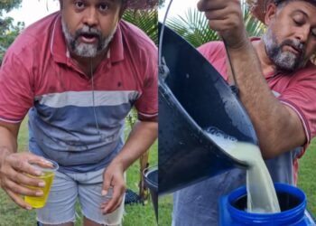 Isnael, agrônomo: “essa mistura vai controlar a fumagina do seu pé de limão. Para 20 litros de água use 200ml de detergente e 200gr de enxofre”