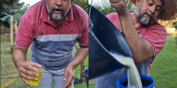 Isnael, agrônomo: “essa mistura vai controlar a fumagina do seu pé de limão. Para 20 litros de água use 200ml de detergente e 200gr de enxofre”