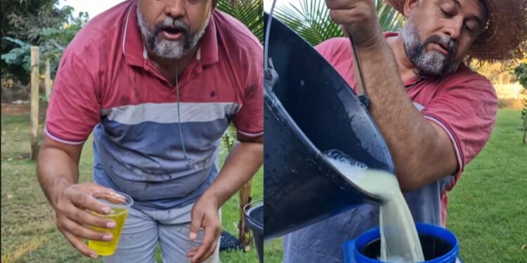 Reprodução (TikTok: @isnael.agronomo)