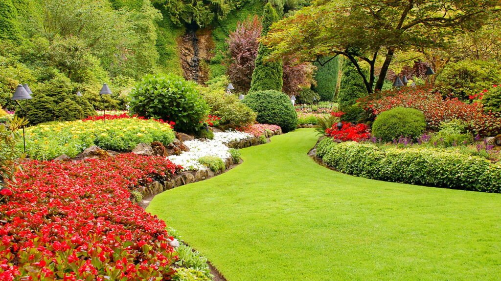 As melhores flores resistentes ao calor para se ter em um jardim colorido