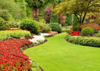 As melhores flores resistentes ao calor para se ter em um jardim colorido