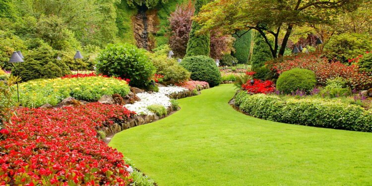 As melhores flores resistentes ao calor para se ter em um jardim colorido