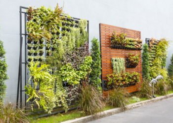 Como montar um jardim vertical de ervas medicinais em casa