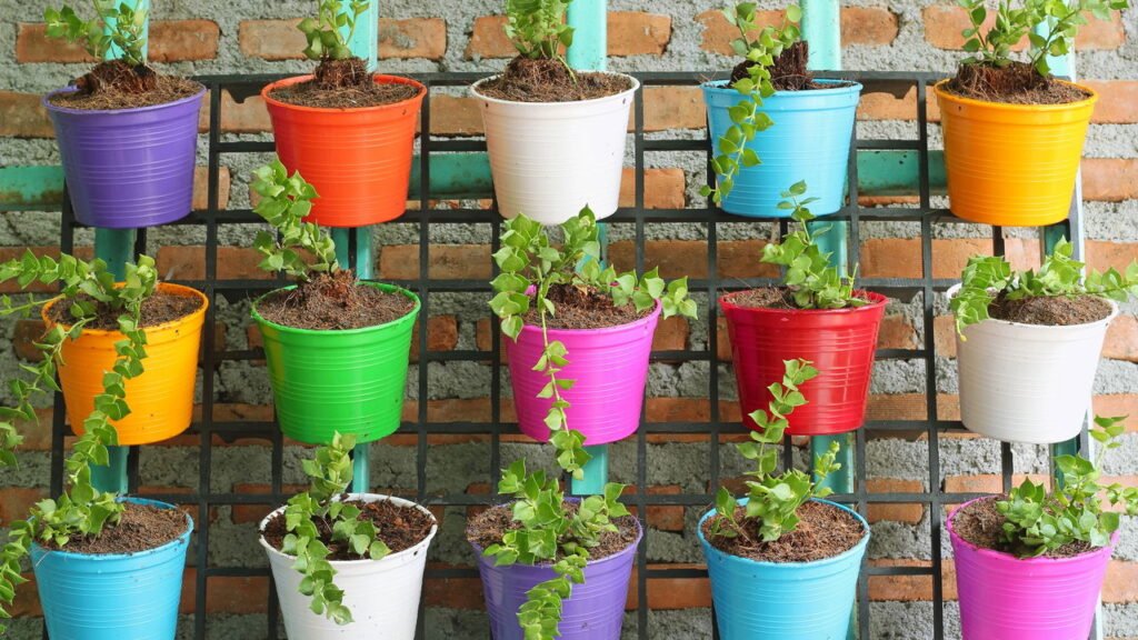 Como montar um jardim vertical de ervas medicinais em casa