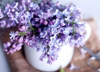 Perfume e proteção