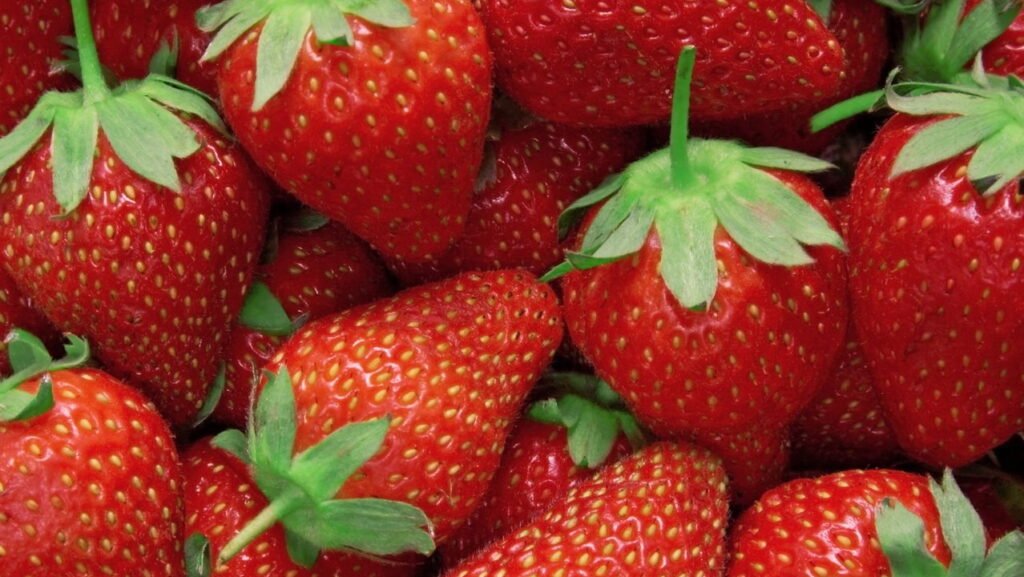 5 equívocos sobre morangos que mostram que eles não são frutas de verdade