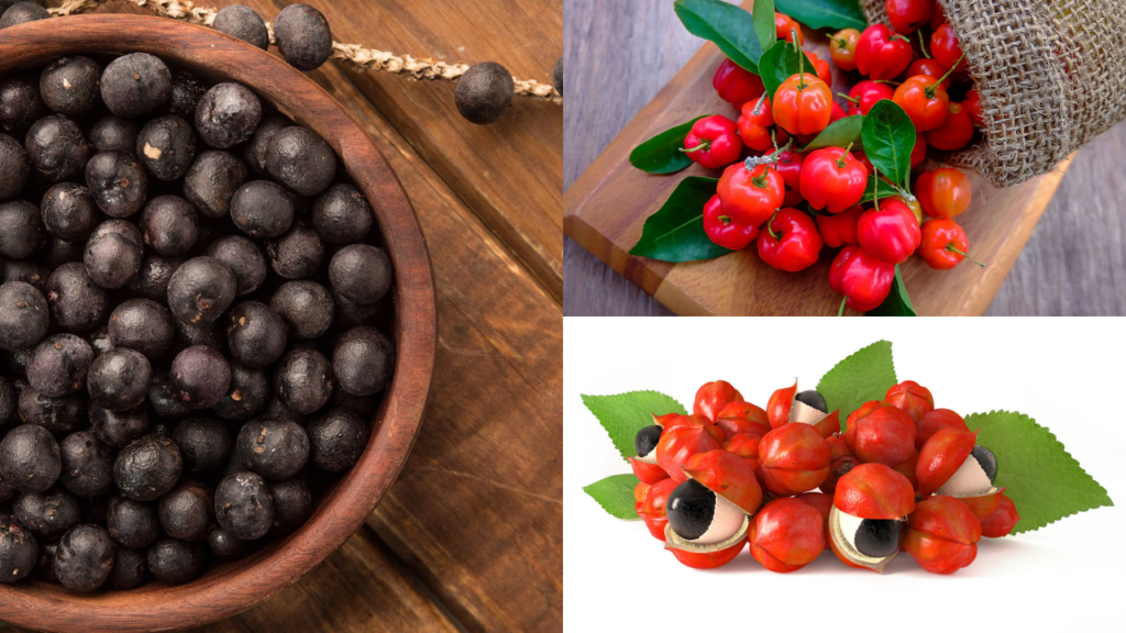 Pesquisa brasileira revela solução natural para a imunidade