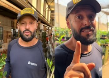 Especialista: “5 plantas que não devem ficar expostas ao sol e você provavelmente tem em casa”