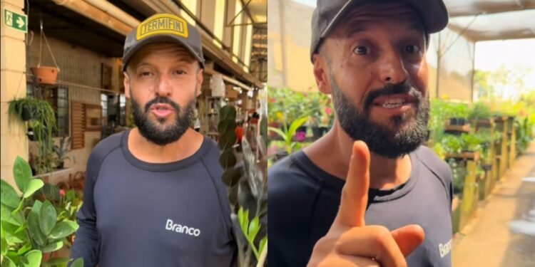 Reprodução (TikTok: @mundojardinagem)