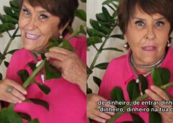 Márcia Sensitiva: “não deixe de ter a planta da fortuna na sua casa para alegrar e decorar o seu futuro”