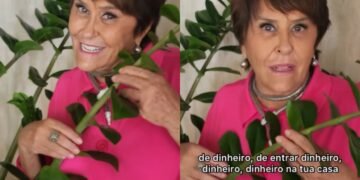 Márcia Sensitiva: “não deixe de ter a planta da fortuna na sua casa para alegrar e decorar o seu futuro”