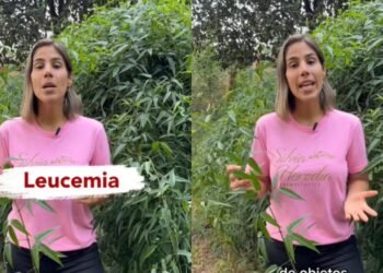 Dra. Silvia Heredia: “a planta amazônica com potencial de tratar tumores”