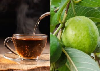 O chá que está conquistando muitos, veja os benefícios da folha de goiaba e como preparar