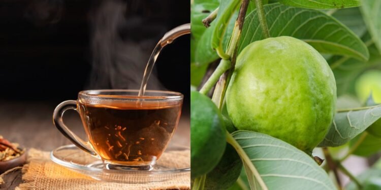 Chá folha de goiaba - Créditos: depositphotos.com / oilchai Créditos: depositphotos.com / wirojepathi