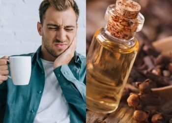 Aprenda a cultivar cravo-da-índia e tenha em casa o analgésico natural que alivia dor em minutos