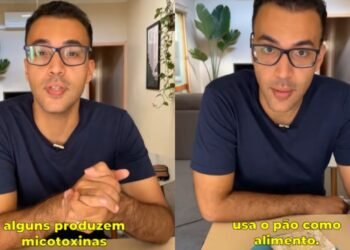 “Pode cortar o mofo e comer o restante do pão?”; Biomédico esclarece