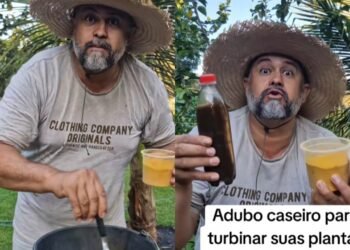 Agrônomo de Vera ensina adubo caseiro simples para acelerar o crescimento das plantas