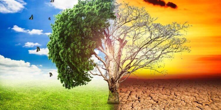 Como as mudanças climáticas estão impactando sua saúde