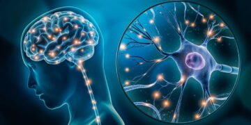 5 hábitos para melhorar a memória, segundo a neurociência