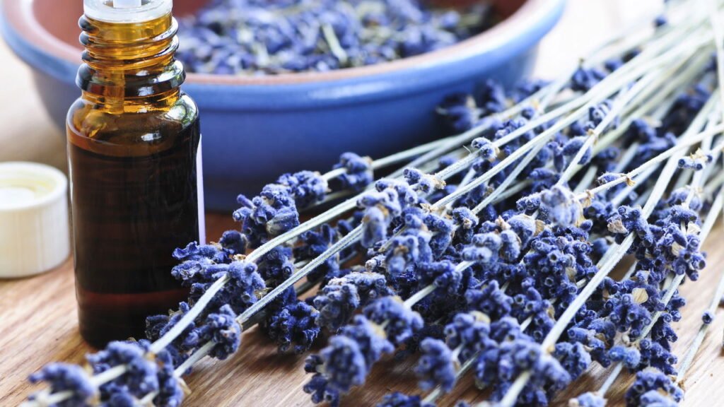 Melhores formas de usar óleo de lavanda para relaxar e dormir com tranquilidade