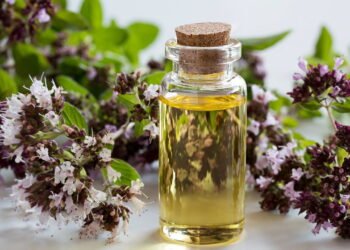 O óleo essencial desconhecido que pode mudar sua rotina