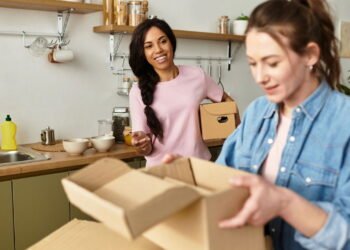 Organização do lar