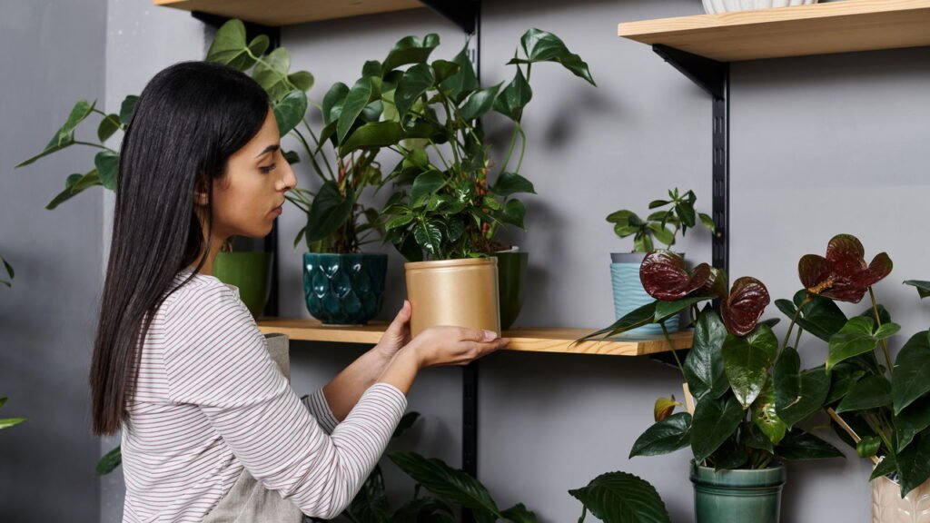 Por que algumas pessoas precisam organizar tudo ao redor, segundo a psicologia