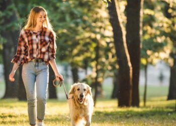 Esses signos precisam urgentemente de um cachorro em suas vidas