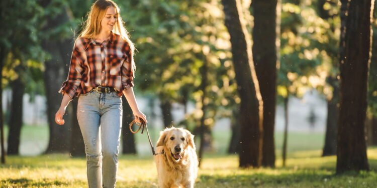 Esses signos precisam urgentemente de um cachorro em suas vidas