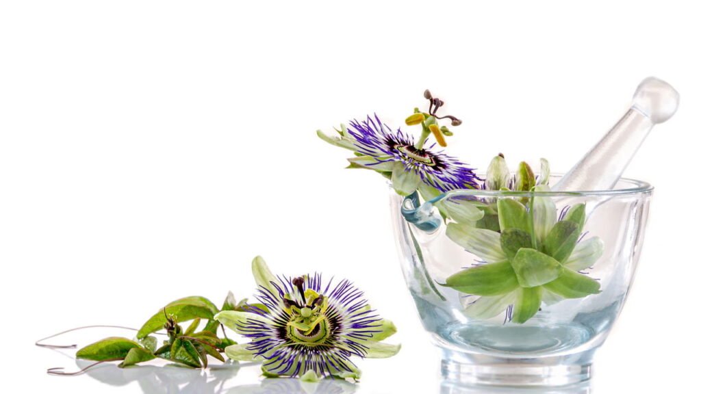 Insônia? Essas 5 plantas ajudam a relaxar e ter sono profundo naturalmente