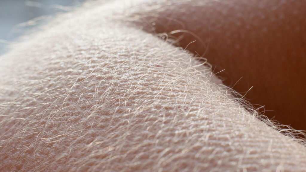 Arrepio e pele de galinha têm explicações além do frio