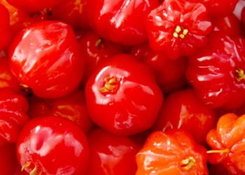 Essa fruta é fácil de cuidar, rica em nutrientes e perfeita para espaços pequenos